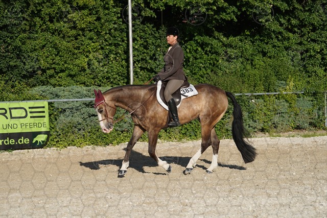 sA9K06018.JPG